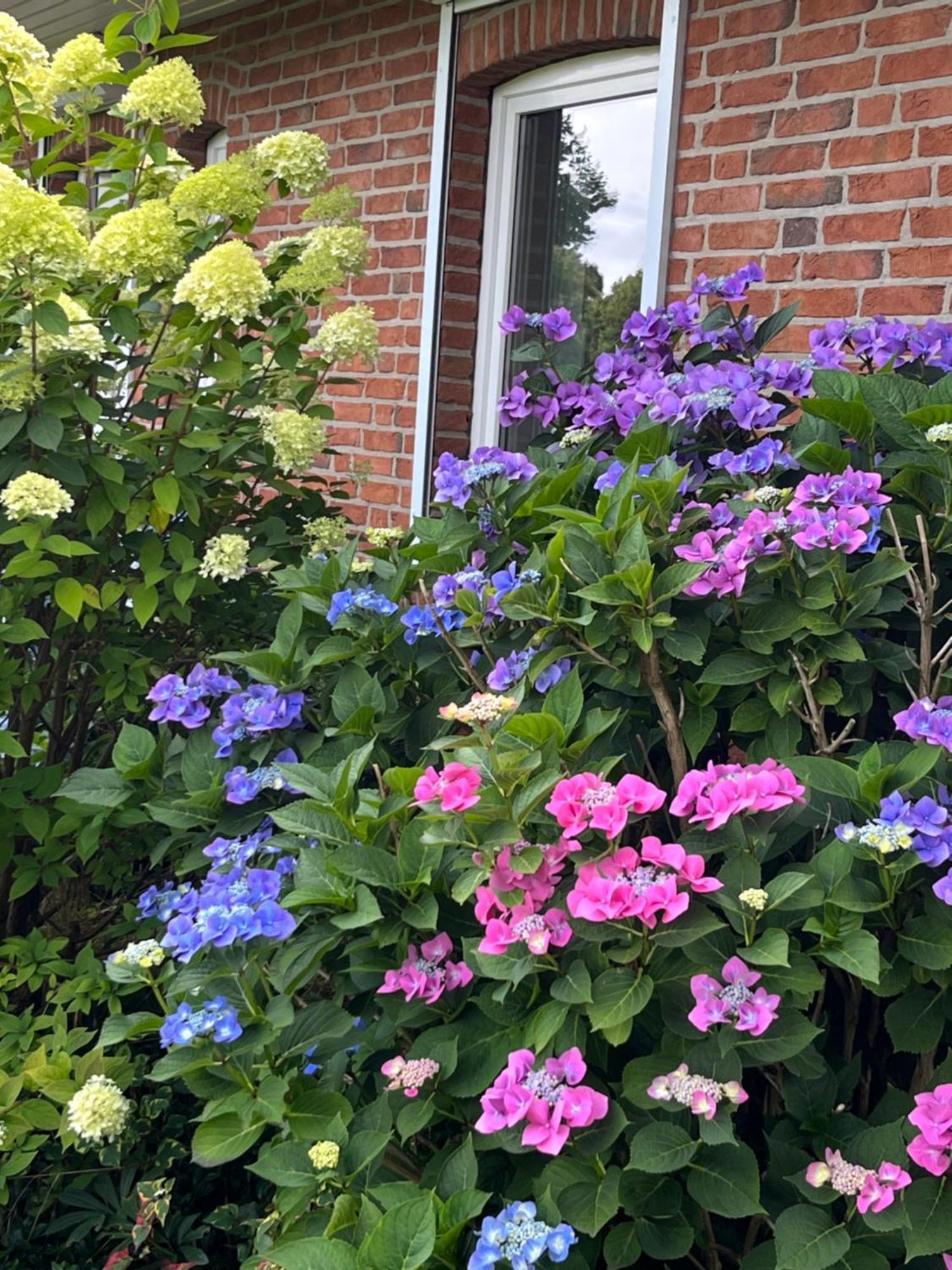 Gartenzimmer Zwischen Den Meeren Ladelund Exteriér fotografie