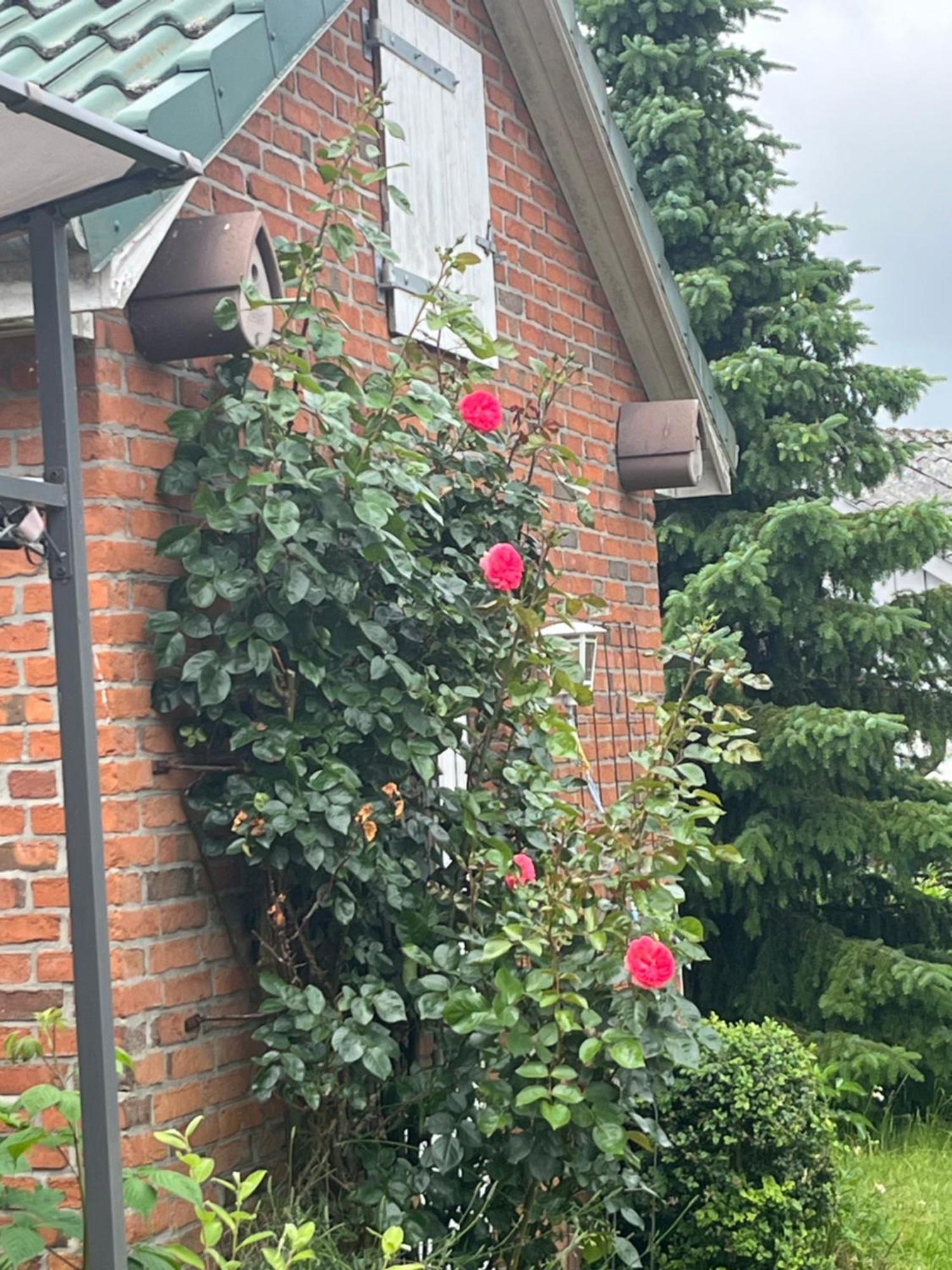 Gartenzimmer Zwischen Den Meeren Ladelund Exteriér fotografie